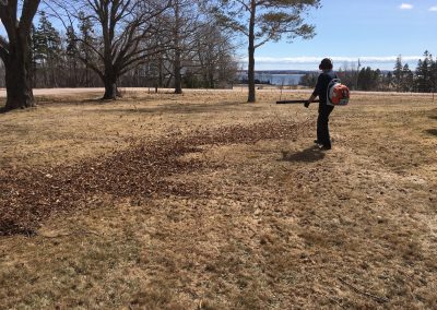 Person using a leaf blower to clear leaves from a dry lawn, showcasing lawn care and landscaping services by McIsaac Lawncare.