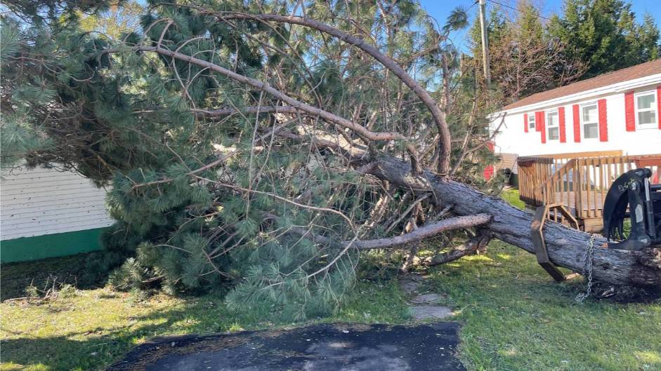 Fallen tree blocking yard near residential home, highlighting tree removal and lot clearing services offered by McIsaac Lawncare.