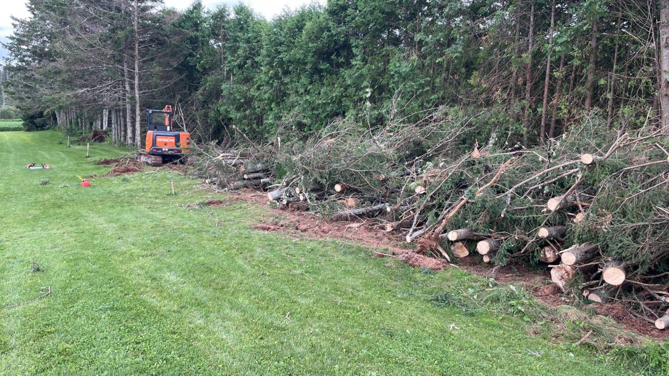 Excavator working on tree removal and lot clearing, with cut branches and logs along a grassy area, highlighting McIsaac Lawncare's tree work services.