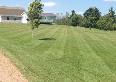 Lush, freshly cut lawn with striped patterns, showcasing McIsaac Lawncare's residential grass cutting services in a well-maintained outdoor space.