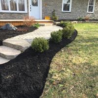 Landscaped walkway with stone pavers, bordered by fresh mulch and neatly trimmed shrubs, enhancing outdoor aesthetics for a modern home.