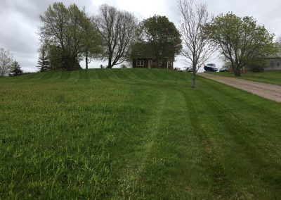Lush green lawn with neatly striped grass leading to a house, surrounded by trees, showcasing McIsaac Lawncare's landscaping expertise and quality craftsmanship.
