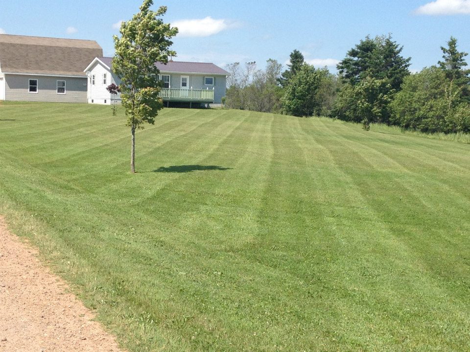 Lush, well-manicured lawn with evenly cut grass and a residential home in the background, showcasing effective yard preparation and maintenance services by McIsaac Lawncare.