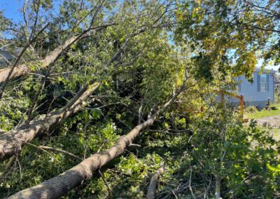 Fallen trees and branches in a yard, showcasing storm damage and the need for professional landscaping and lawn care services.