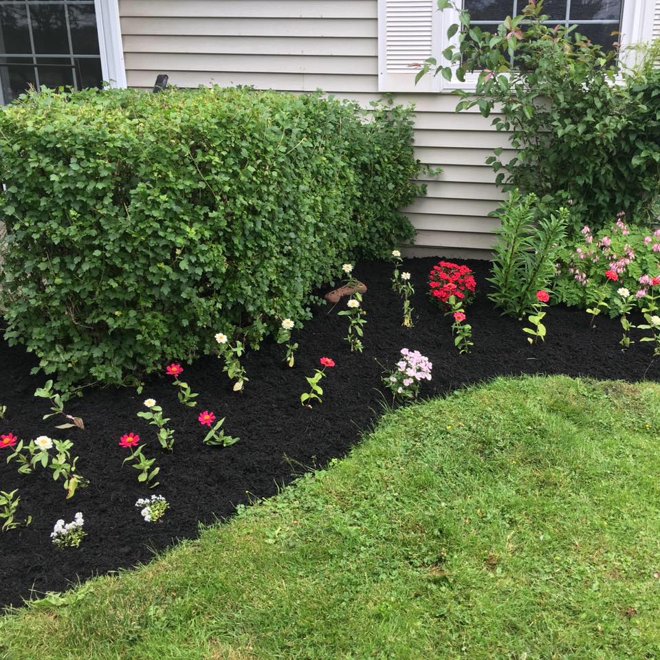 Lush garden bed featuring vibrant flowers in red, pink, and white, surrounded by dark mulch and a neatly trimmed green hedge, enhancing curb appeal for lawn care and landscaping services.