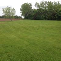 Lush green lawn with neatly striped grass, surrounded by trees, showcasing professional lawn care services by McIsaac Lawncare and Landscaping Ltd.