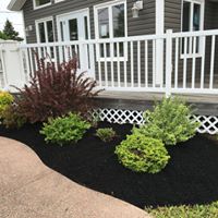 Landscaped garden bed featuring various shrubs and plants with black mulch, enhancing the outdoor space of a modern home with a white railing and large windows.