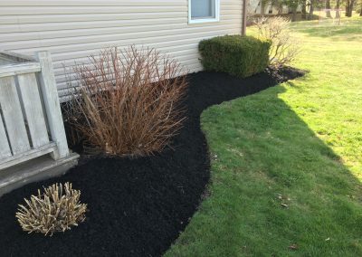 Landscaped garden bed featuring fresh black mulch, trimmed shrubs, and a well-defined curve alongside a home's exterior, showcasing McIsaac Lawncare's quality outdoor transformation services.