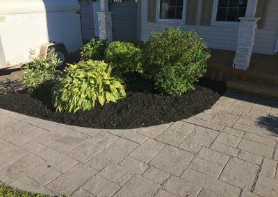 Landscaped garden bed featuring lush green shrubs and hostas surrounded by fresh black mulch, with a stone pathway leading to a home entrance, showcasing McIsaac Lawncare's quality craftsmanship in outdoor transformations.