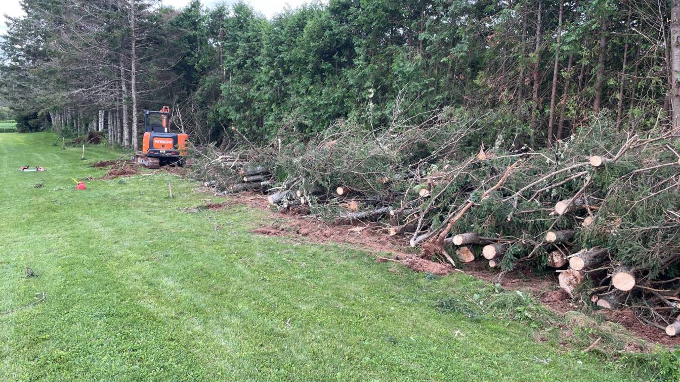 Tree removal process with excavator, cut logs, and debris on grassy area, showcasing professional tree work services by McIsaac Lawncare.