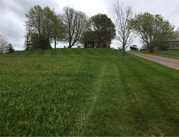Lush green lawn with striped sod, sloped terrain, and a house in the background, showcasing professional lawn care and maintenance by McIsaac Lawncare.
