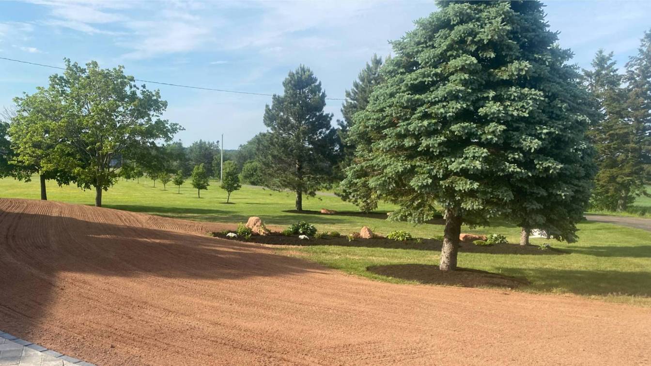 Lush green landscape featuring healthy trees and freshly prepared soil, illustrating McIsaac Lawncare's tree trimming and lot clearing services for enhanced property aesthetics and safety.
