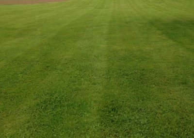 Lush green lawn with evenly mowed stripes, showcasing quality landscaping and maintenance by McIsaac Lawncare.
