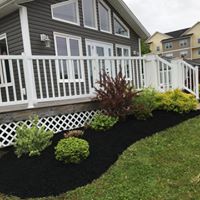 Landscaped backyard featuring vibrant plants and black mulch, enhancing outdoor aesthetics and functionality for home enjoyment.