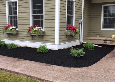 Landscaped flower beds with vibrant flowers and greenery around a home’s foundation, featuring black mulch and a well-defined walkway, showcasing McIsaac Lawncare's landscaping expertise.